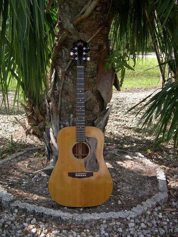 1978 Guild D-35