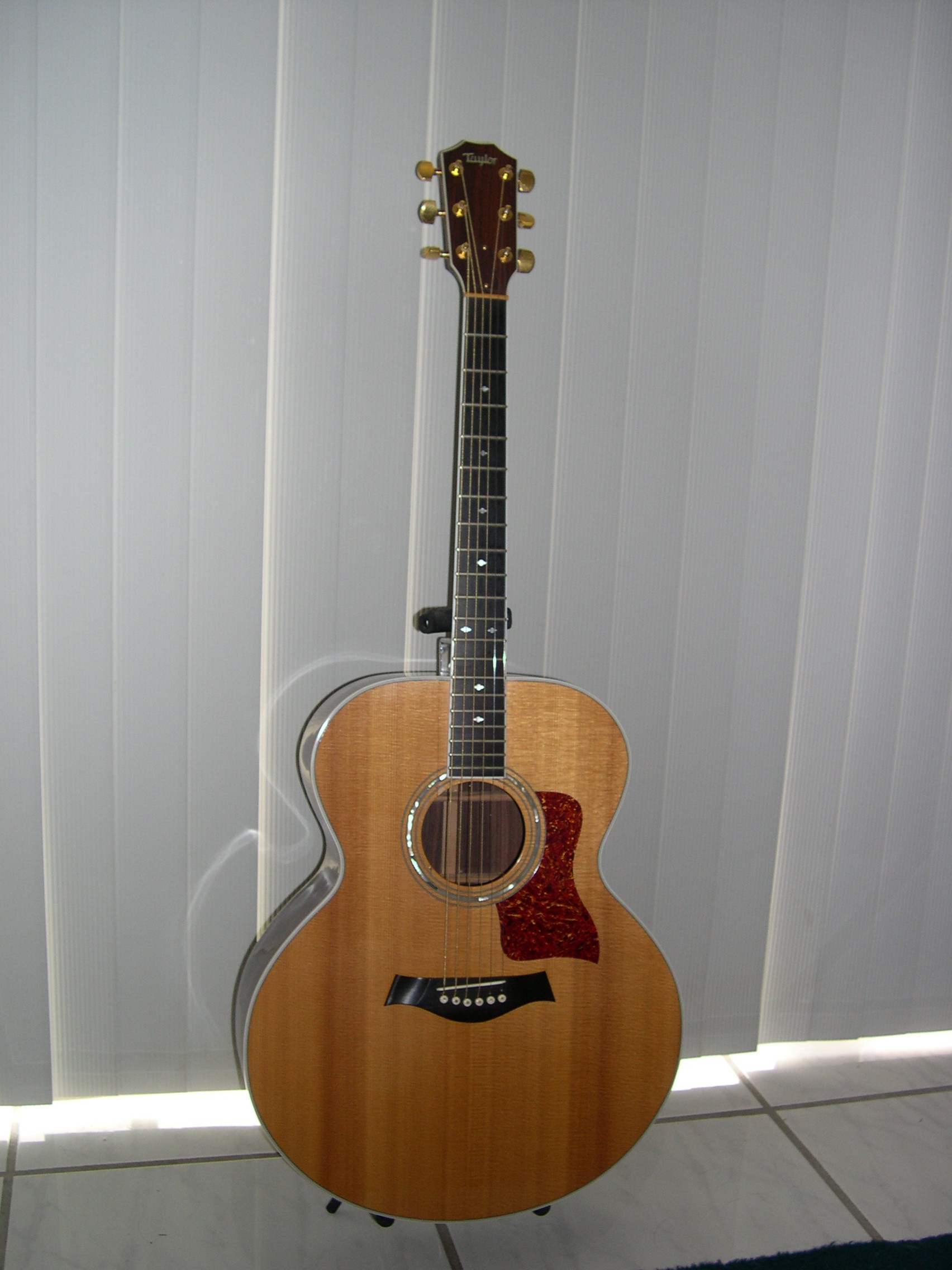 1988 Taylor 815 Front View