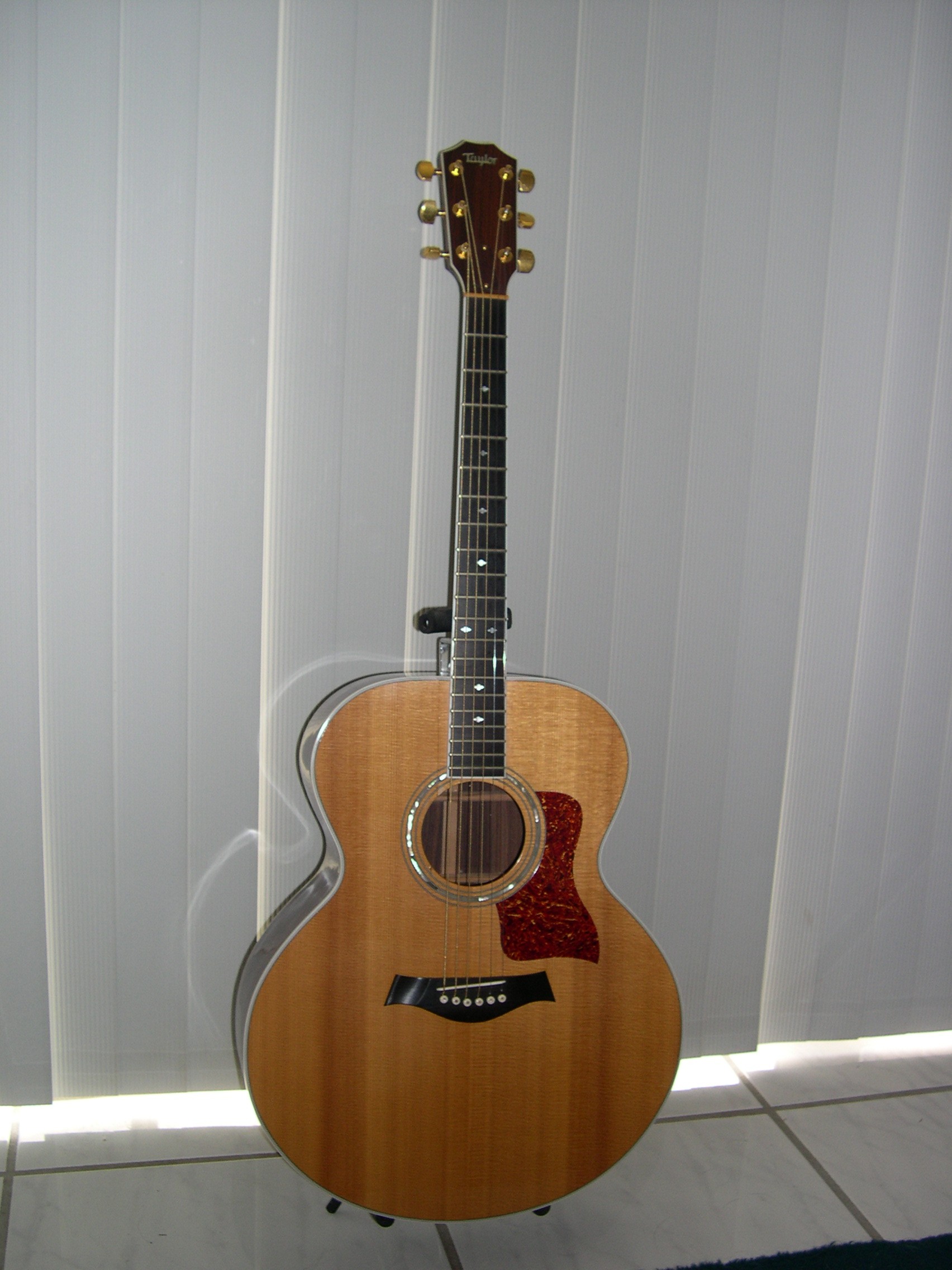 1988 Taylor 815