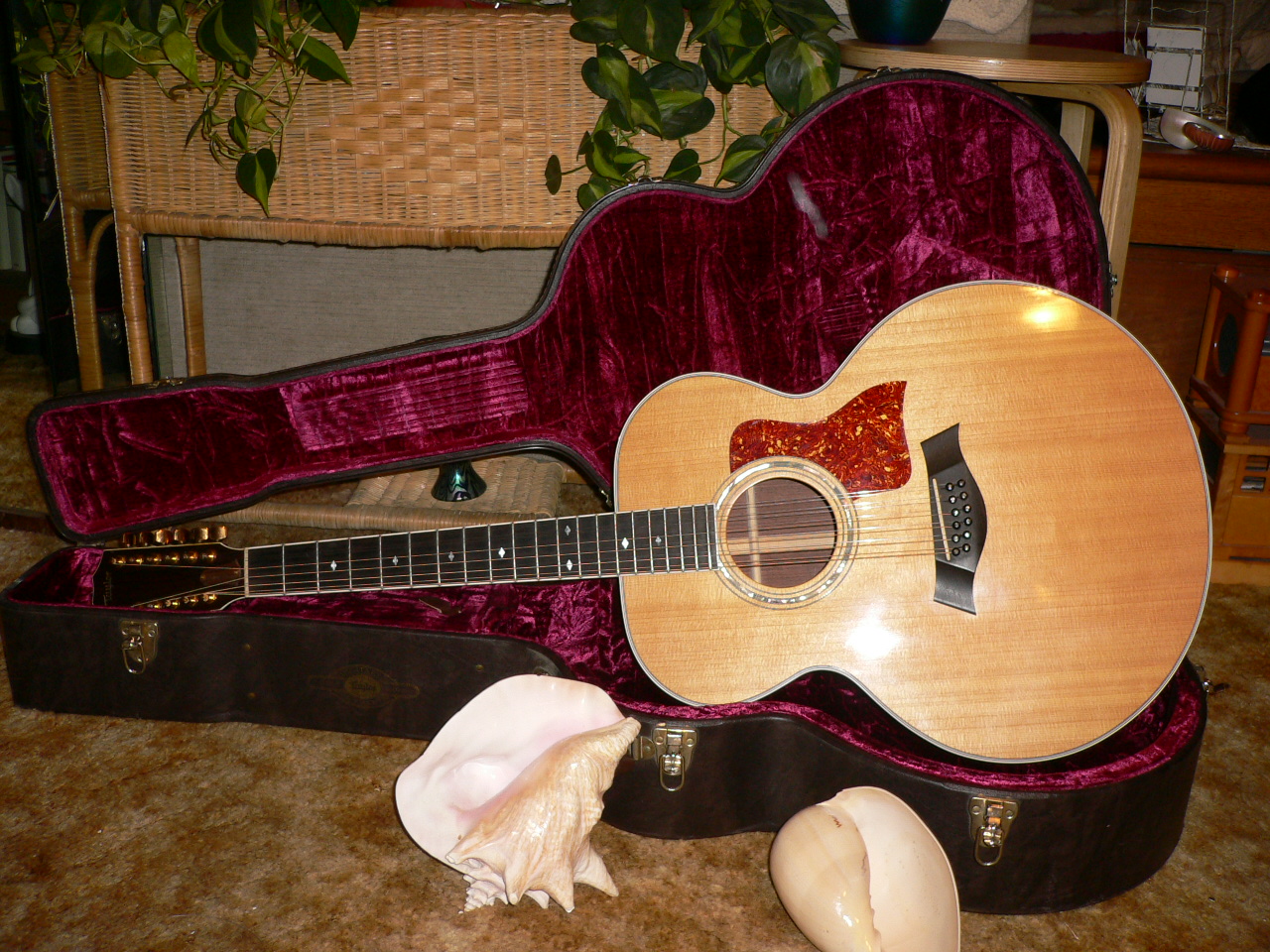 1992 Taylor 855 Guitar and Case
