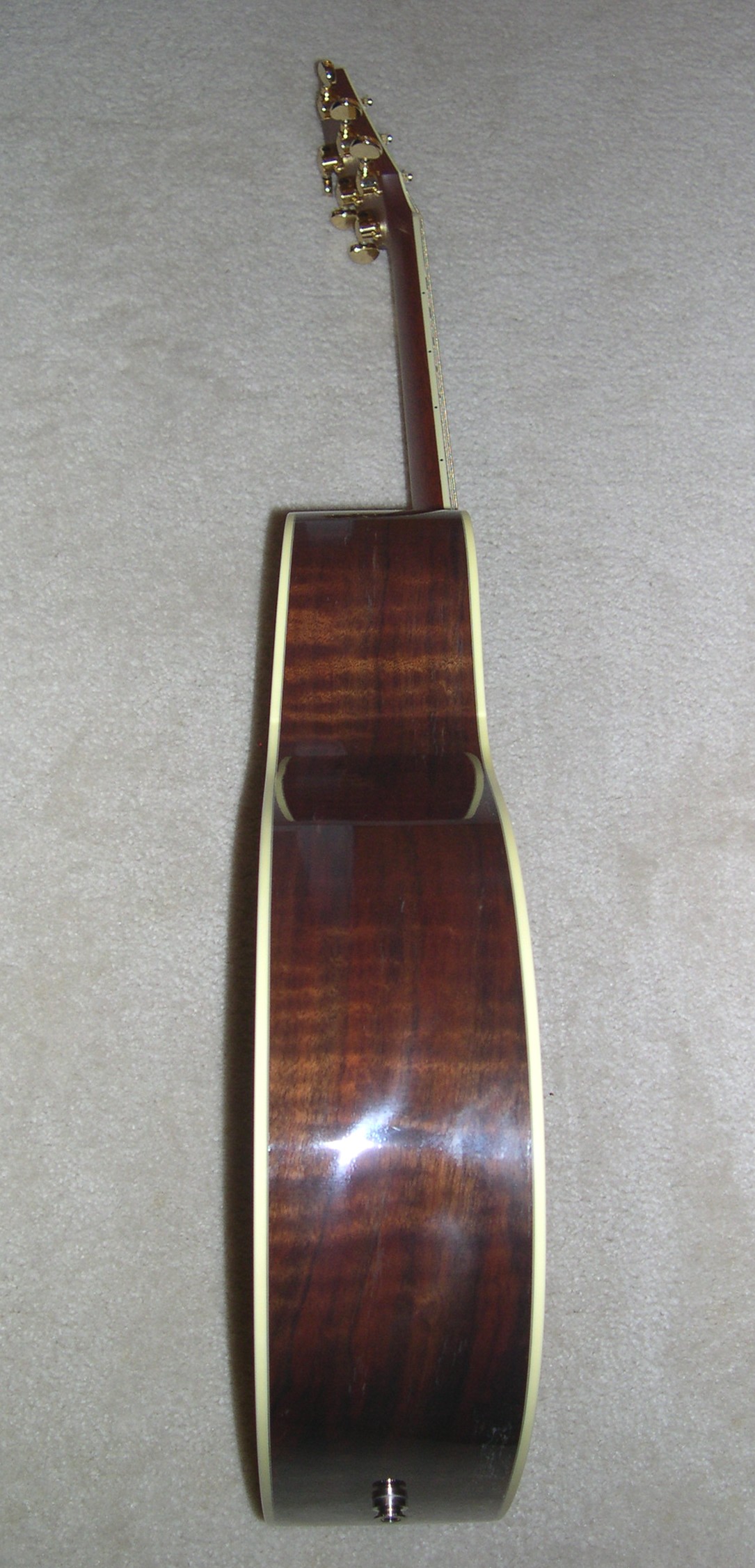 1999 Taylor W14C Side View