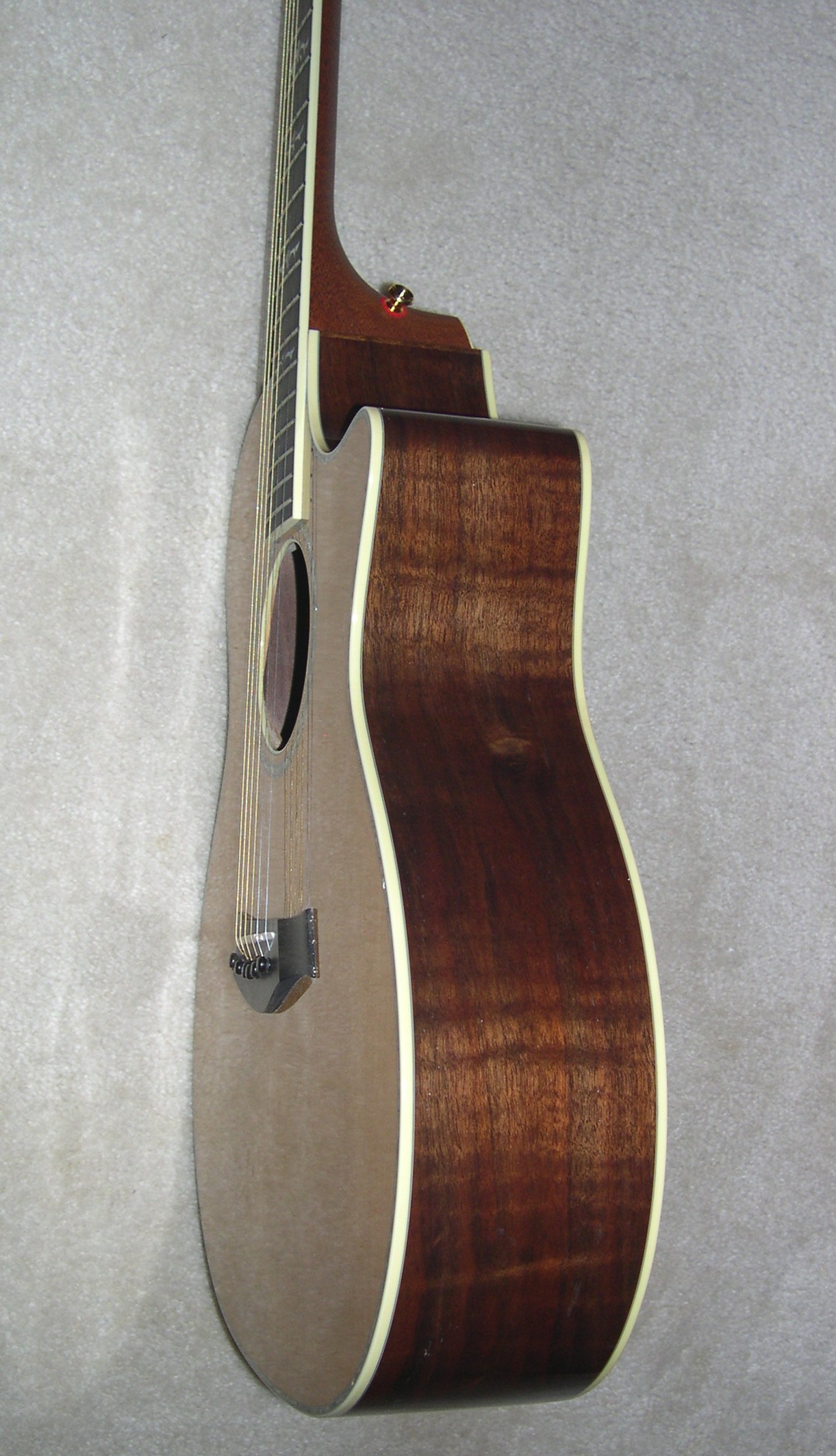 1999 Taylor W14C Side View