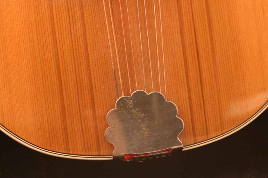 Mexican A-Style Mandolin - Tailpiece