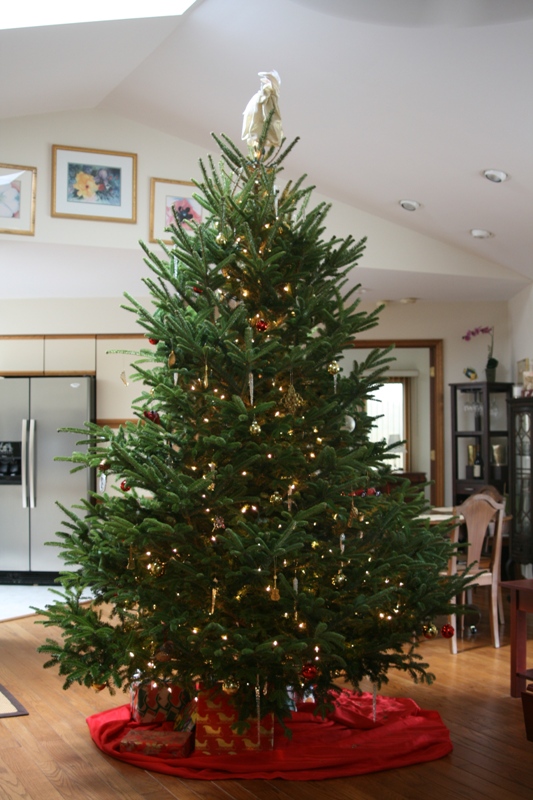 2012 Christmas tree